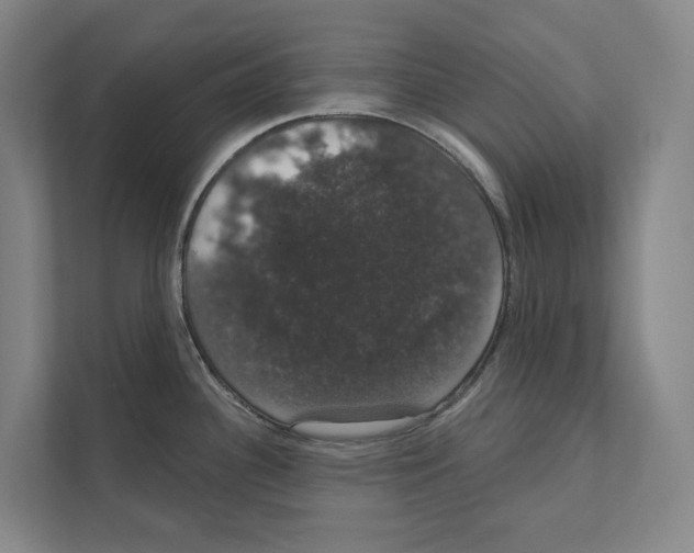 X0000111441340200908101007