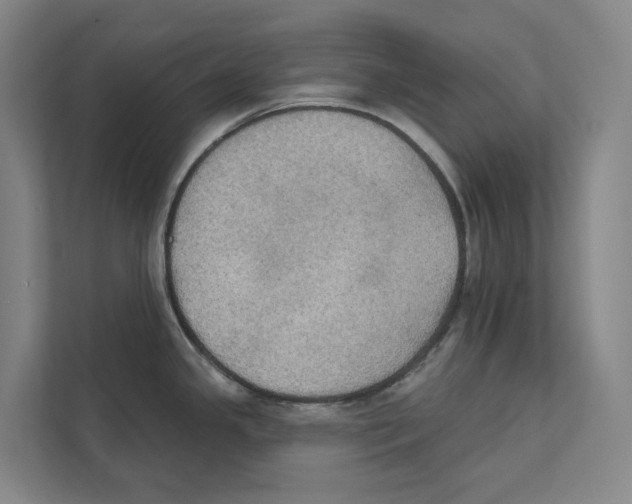 X0000111441341200908101007