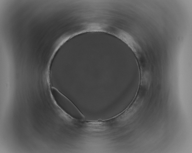 X0000111441342200908101007