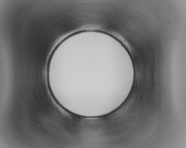 X0000111441343200908101007