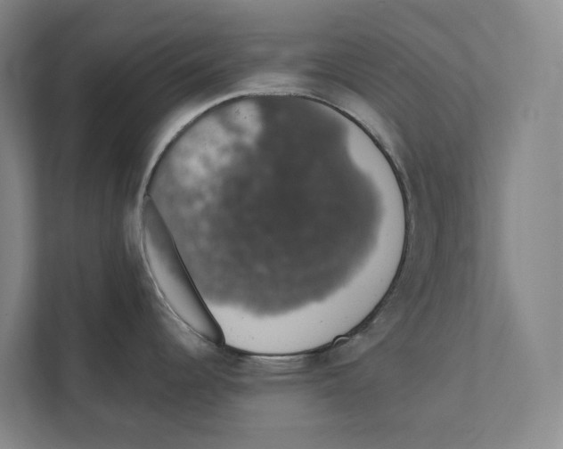 X0000111441344200908101007