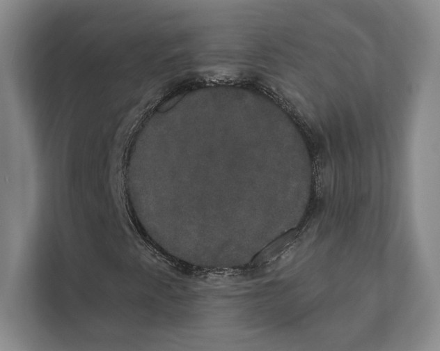 X0000111441345200908101006