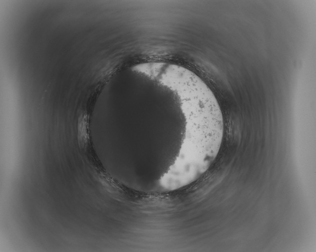 X0000111441346200908101006