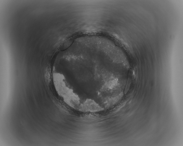 X0000111441348200908101006