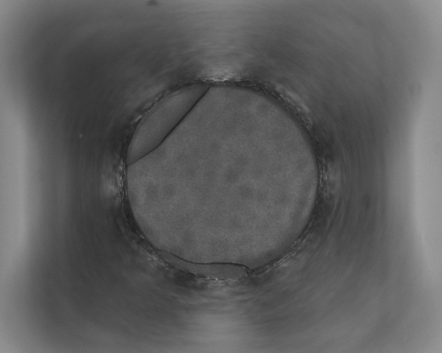 X0000111441349200908101006