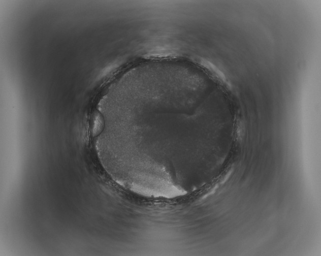 X0000111441350200908101006