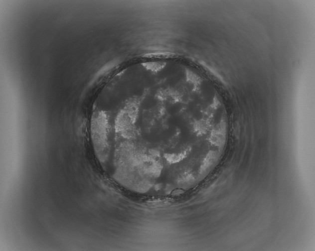 X0000111441351200908101006