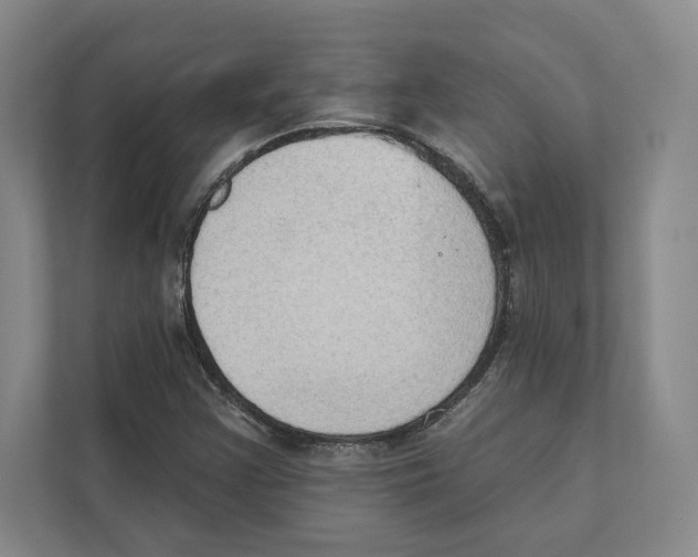 X0000111441355200908101006