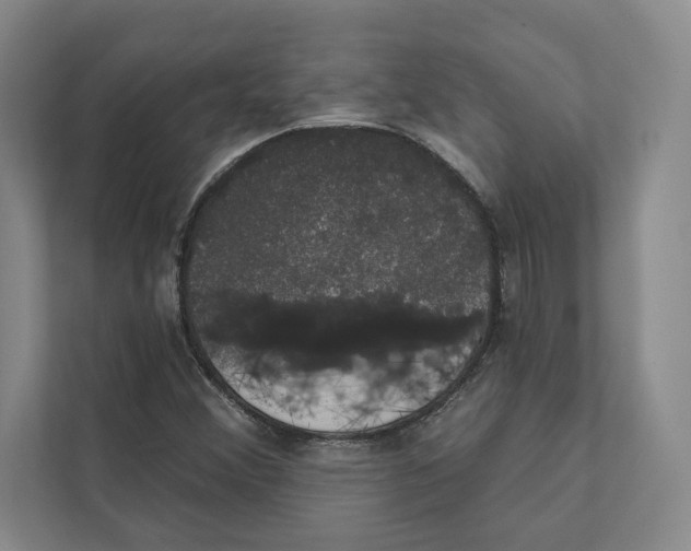 X0000111441356200908101006