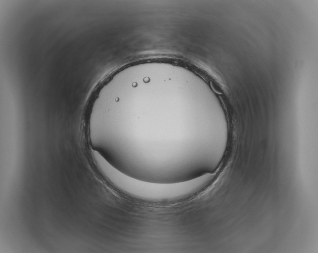 X0000111441357200908101006