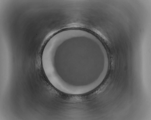 X0000111441358200908101006