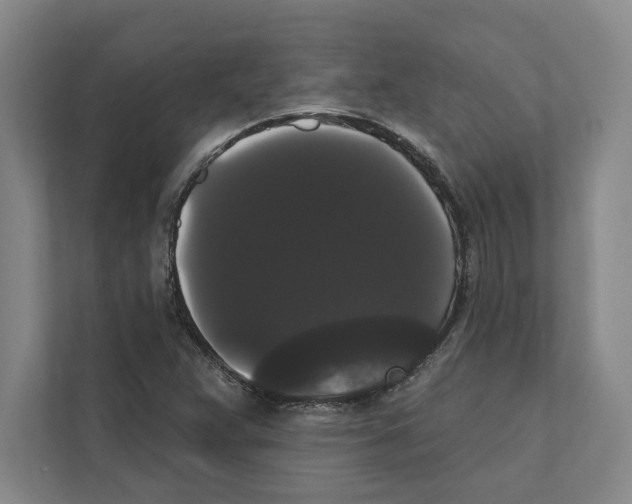 X0000111441359200908101006