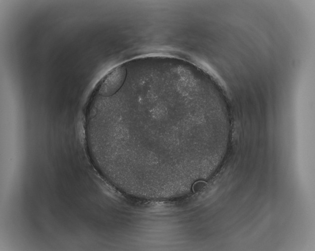 X0000111441360200908101006