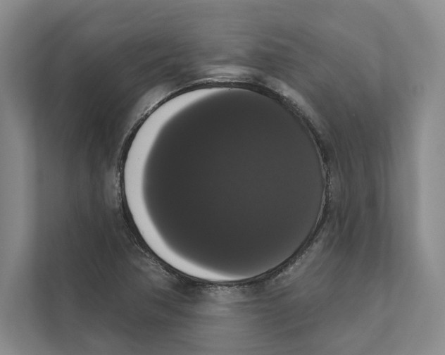 X0000111441362200908101006