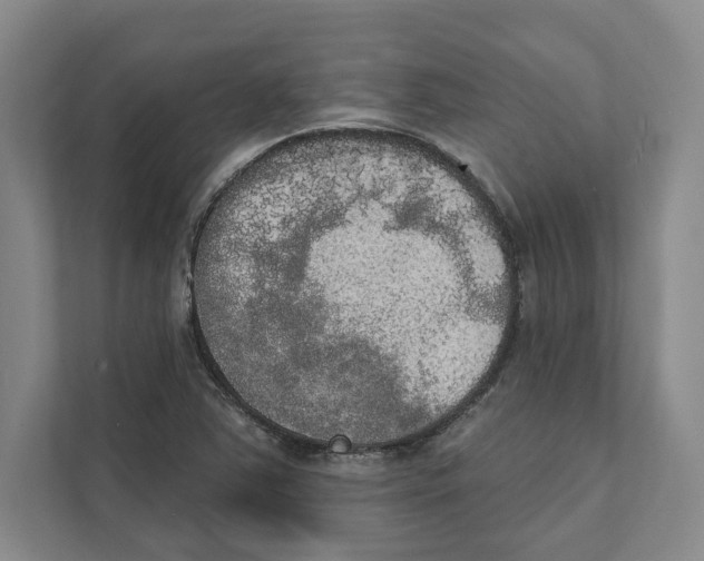 X0000111441363200908101006