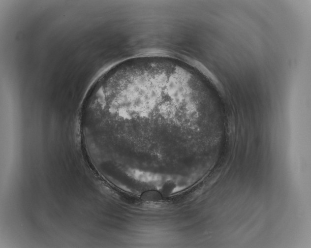 X0000111441364200908101006