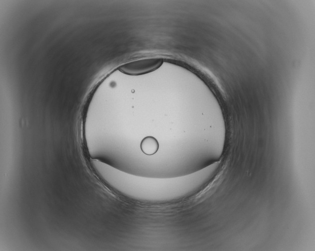 X0000111441365200908101006