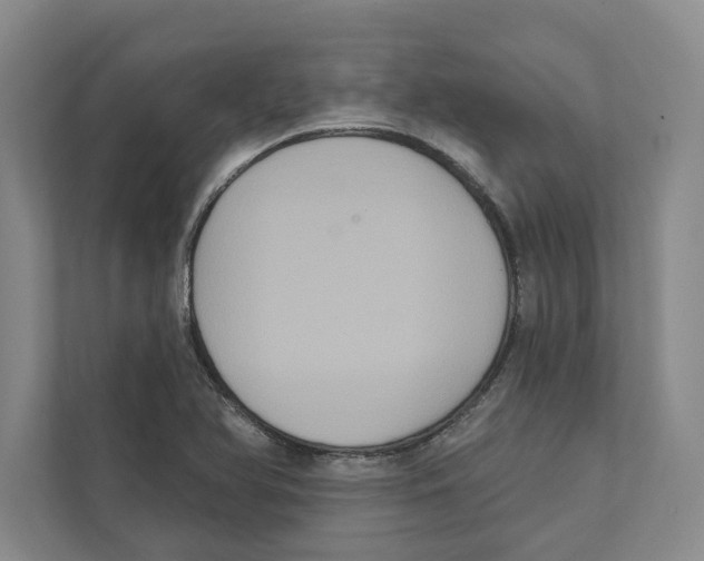 X0000111441366200908101006