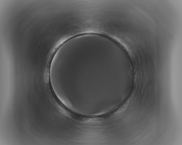 X0000111441367200908101006