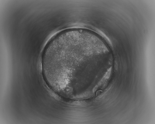 X0000111441368200908101006