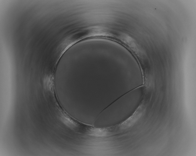 X0000111441369200908101006