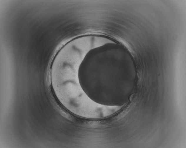 X0000111441371200908101006