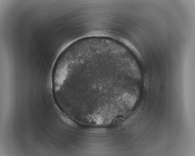 X0000111441372200908101006