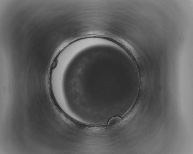 X0000111441373200908101006