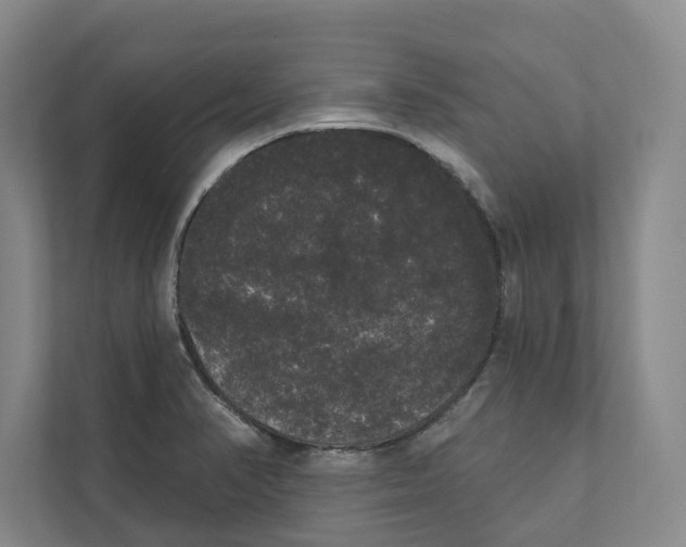 X0000111441374200908101006