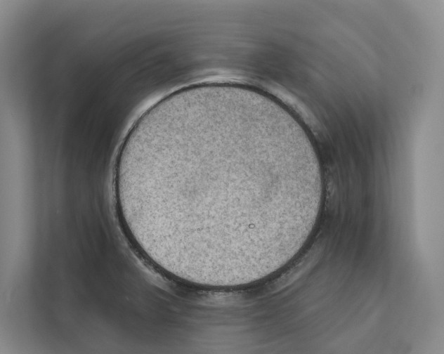 X0000111441375200908101006