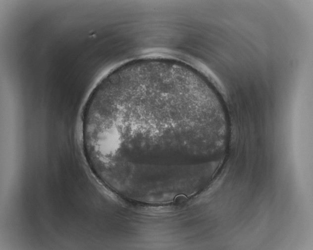 X0000111441376200908101006