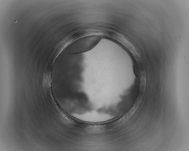 X0000111441377200908101006