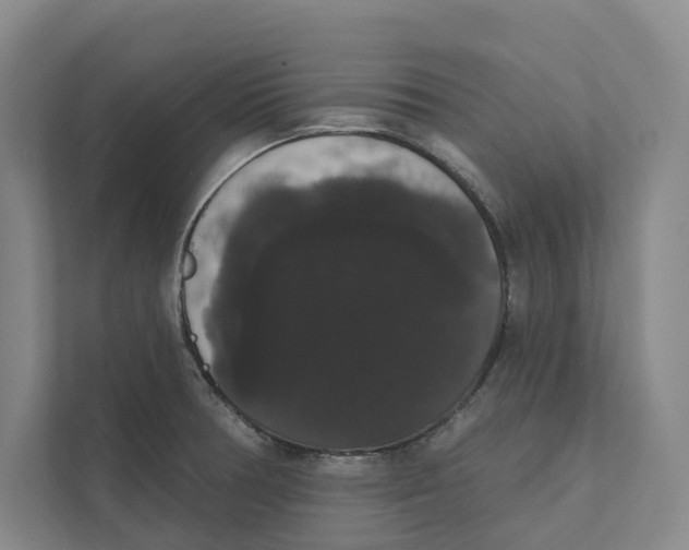 X0000111441378200908101006