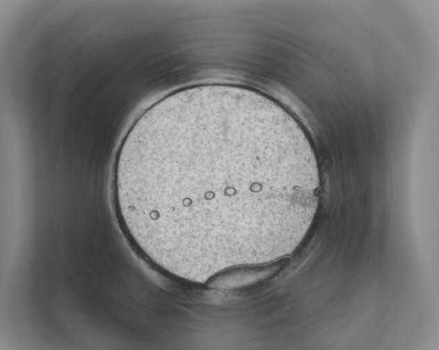 X0000111441379200908101006