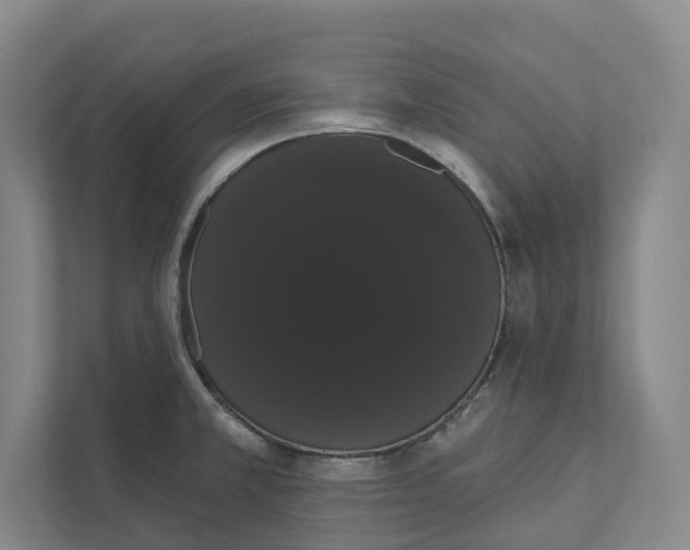 X0000111441381200908101006