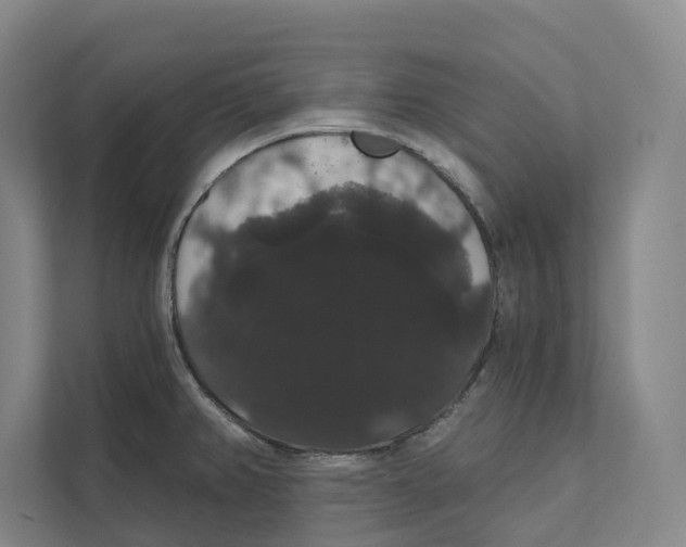 X0000111441382200908101006