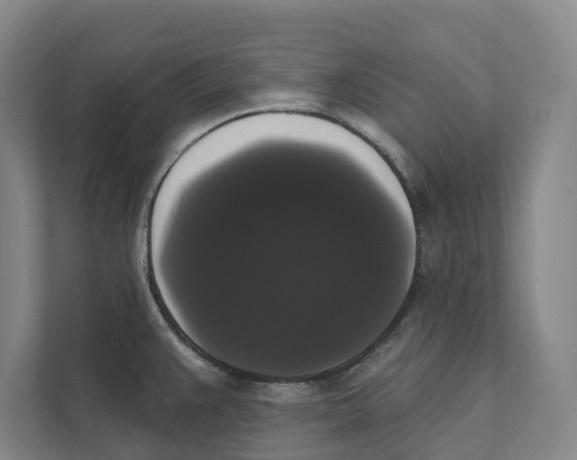 X0000111441383200908101006