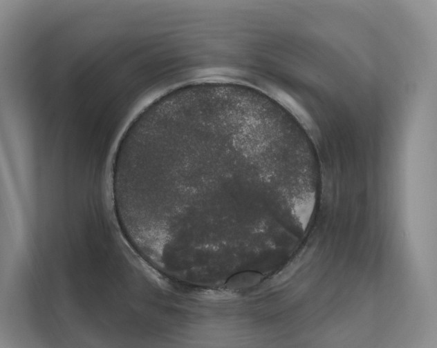 X0000111441384200908101006