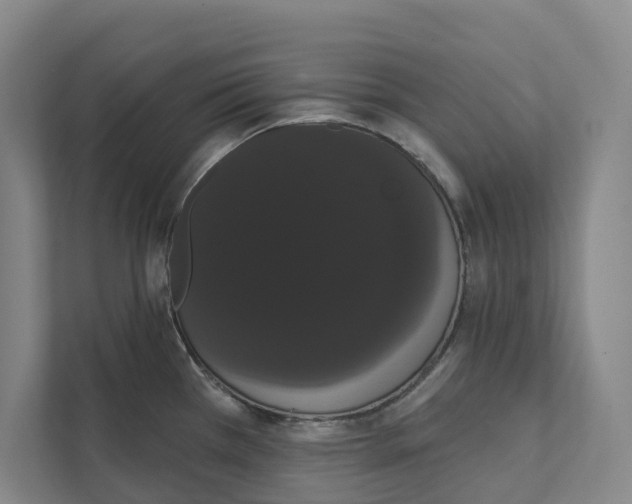 X0000111441385200908101006