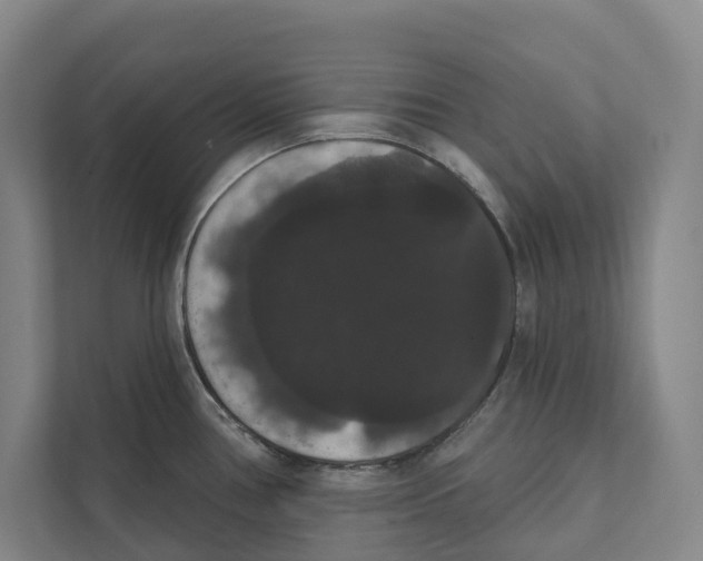 X0000111441386200908101006