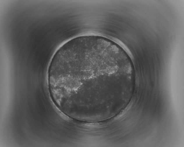 X0000111441388200908101006