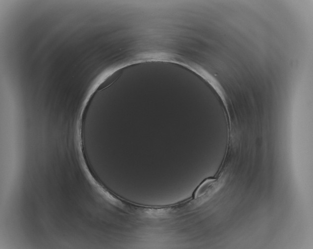 X0000111441389200908101006