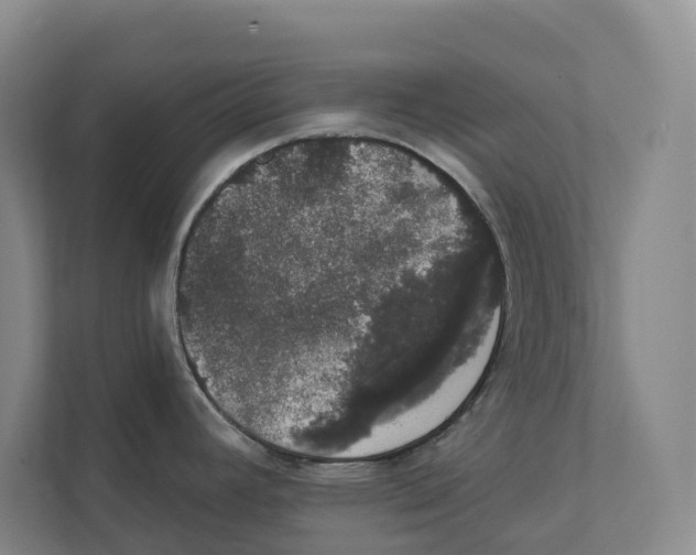 X0000111441392200908101006