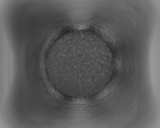 X0000111441393200908101005