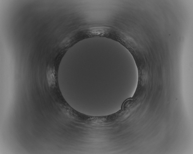 X0000111441394200908101005