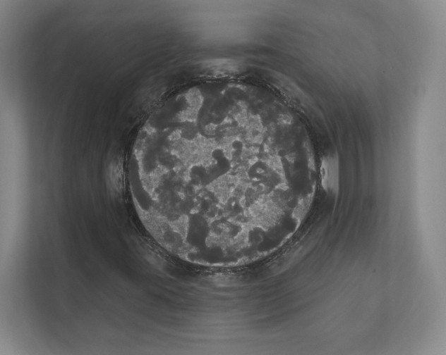 X0000111441395200908101005