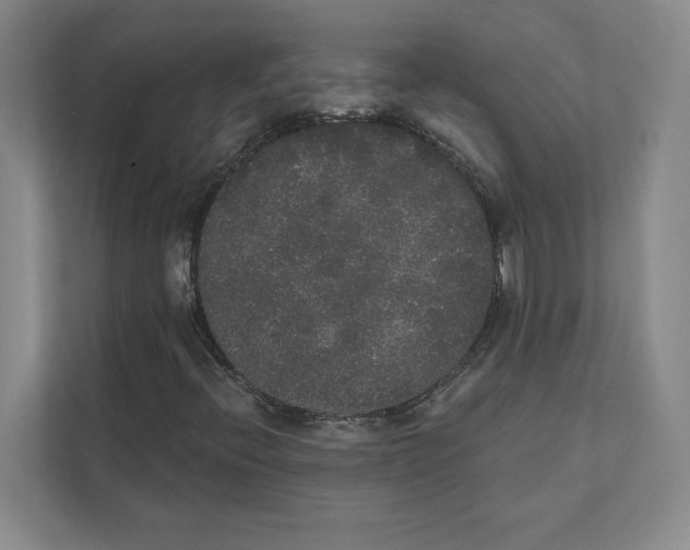 X0000111441396200908101005