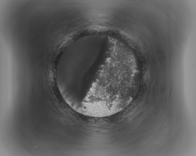 X0000111441397200908101005