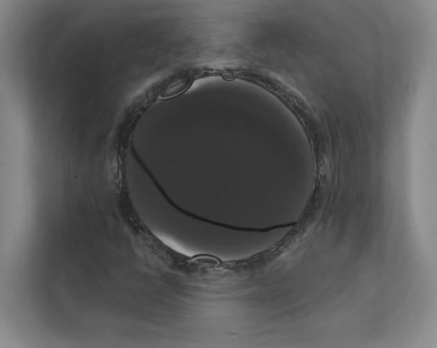 X0000111441398200908101005