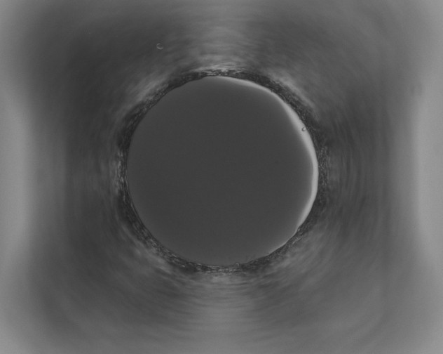 X0000111441399200908101005